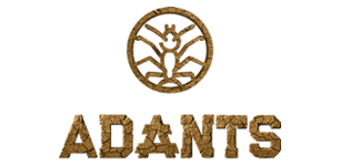 Adants Gallery 